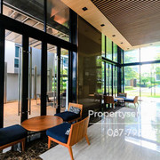 IMG 0278