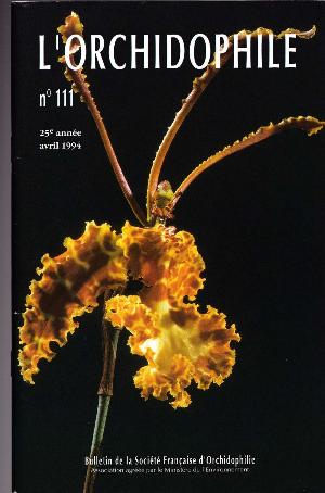 orchido111.jpg?042148