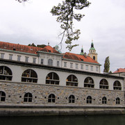 IMG-9993