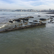 IMG-4051