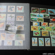 IMG-2236