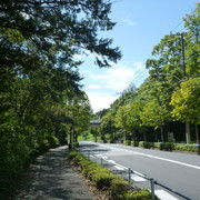 P1350283