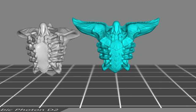 warrior-torso
