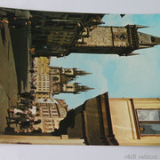 IMG-6513