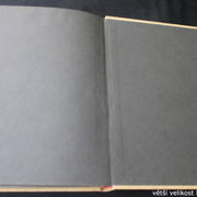 IMG-3100
