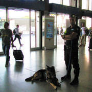 IMG-8776-2