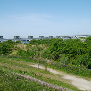 DSC-0125