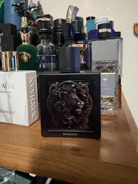 lion