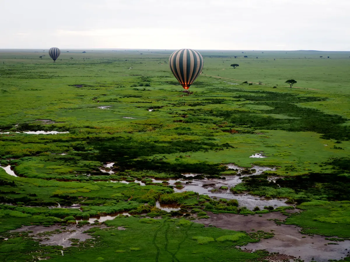 Tanzania: A Week-Long Safari Adventure Awaits