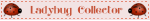 IMG 2677.gif
