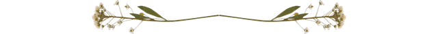 IMG 3947.png
