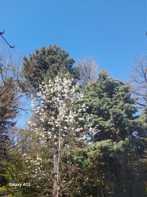 20260508-104934.jpg