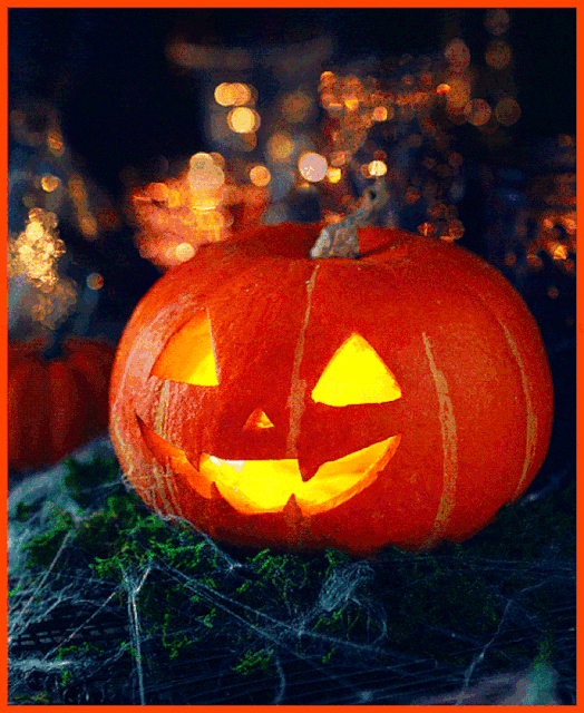 IMG-4167.gif