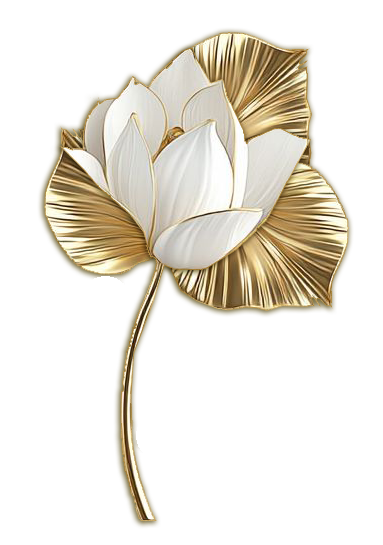 2 (1).png