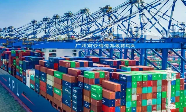 China's Container Export Market Remains Resilient Amid Diverging Route Trends