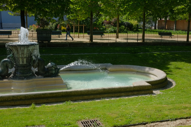 DSCF9137.jpg