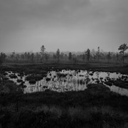DSC06312