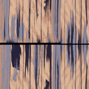 C56293 PP