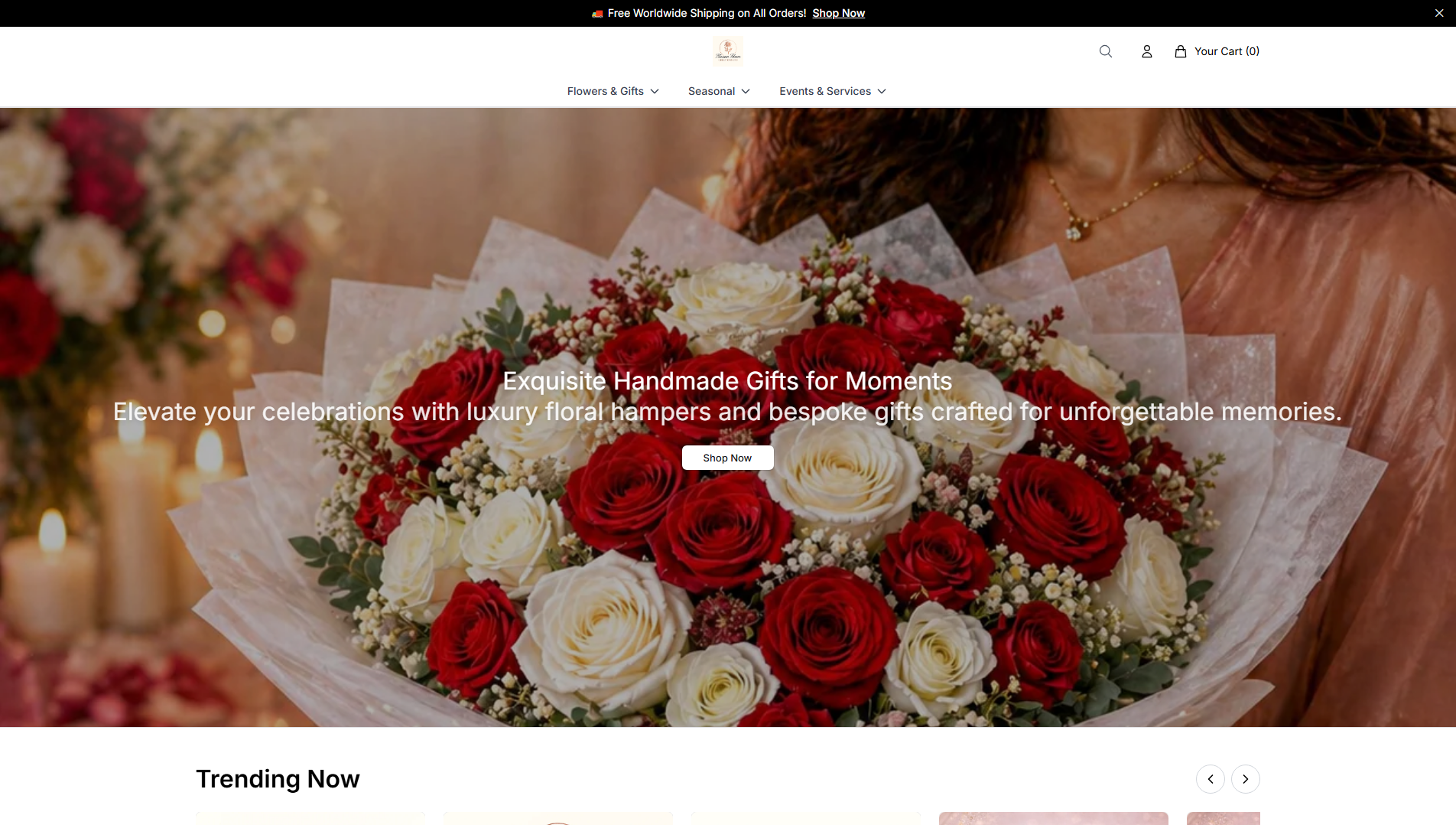 Primary capture · blossombloomcreationsglobal.shop