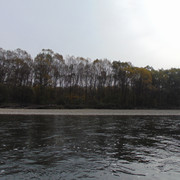DSC06694