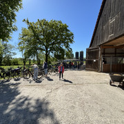 IMG 3331