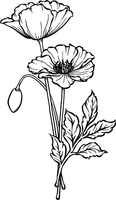 APRIL Poppies.jpg