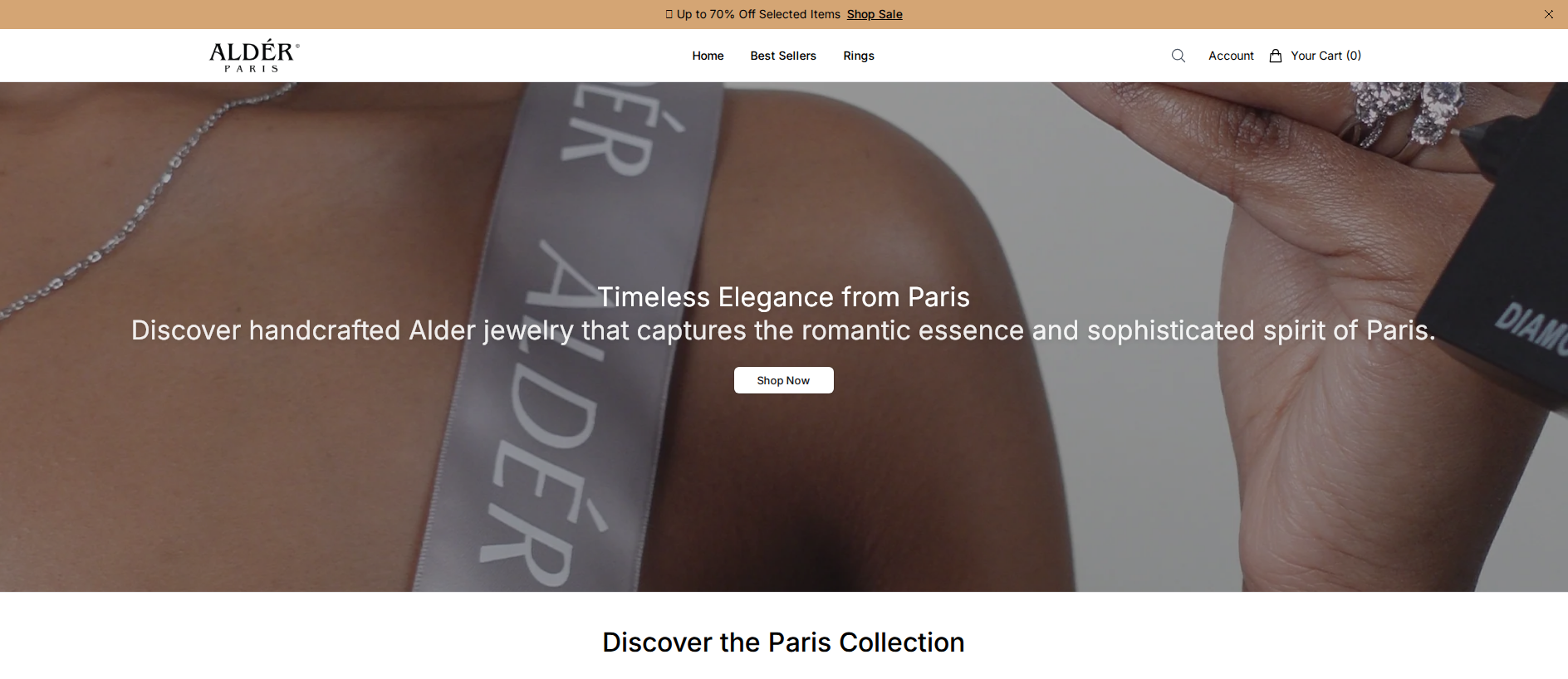 Stored capture of alderjewellersparis.shop