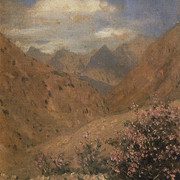 Розы в Ладаке 1874 1876