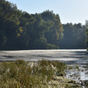 DSC 0984 к