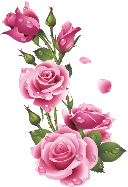 pngwing com (30).png