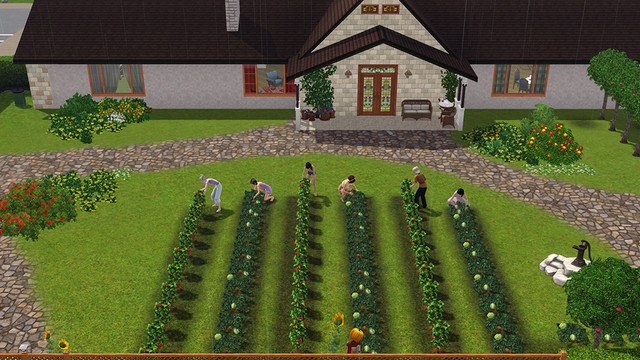 Screenshot 00