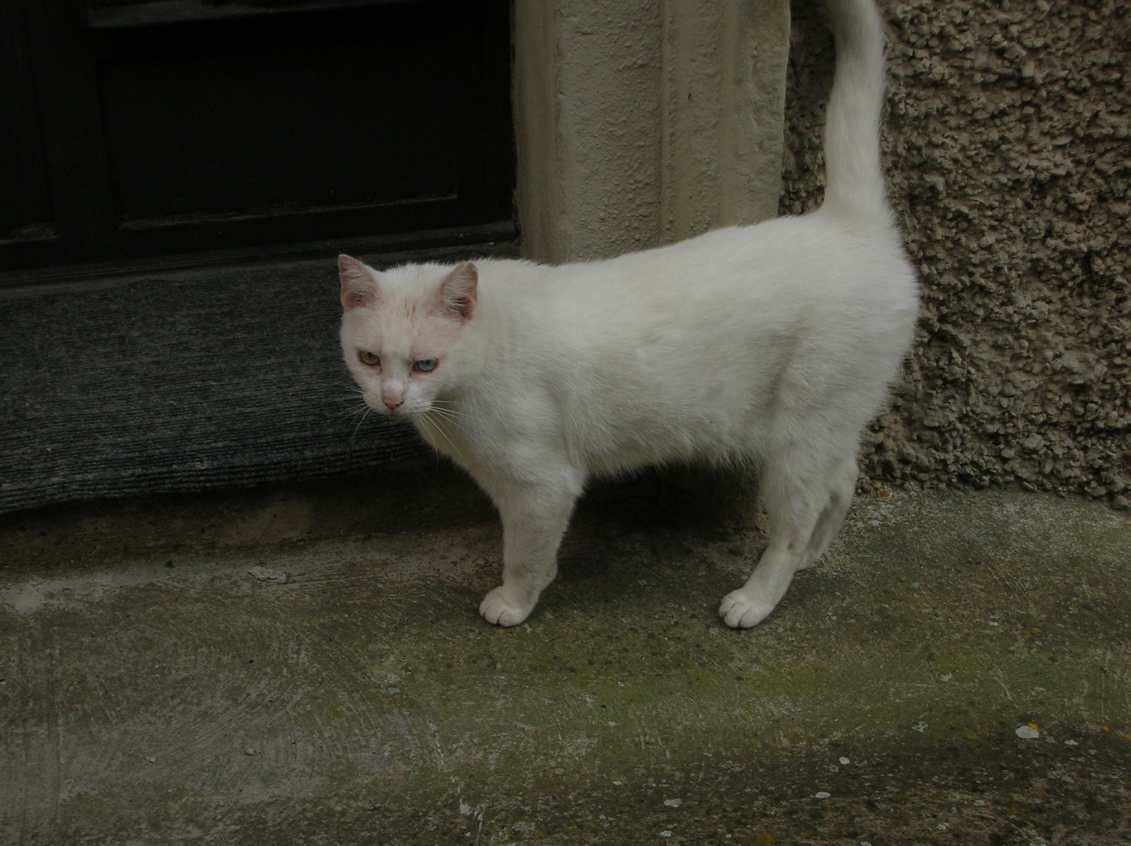 DSCN2185.jpg