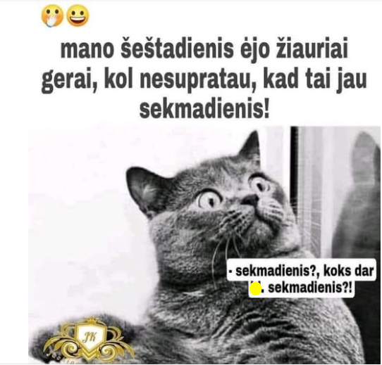85.png