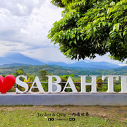Sabah Tea2