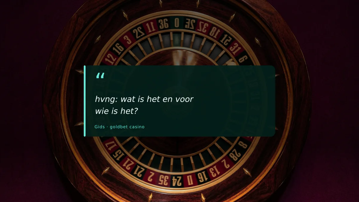 hvng: wat is het en voor wie is het?
