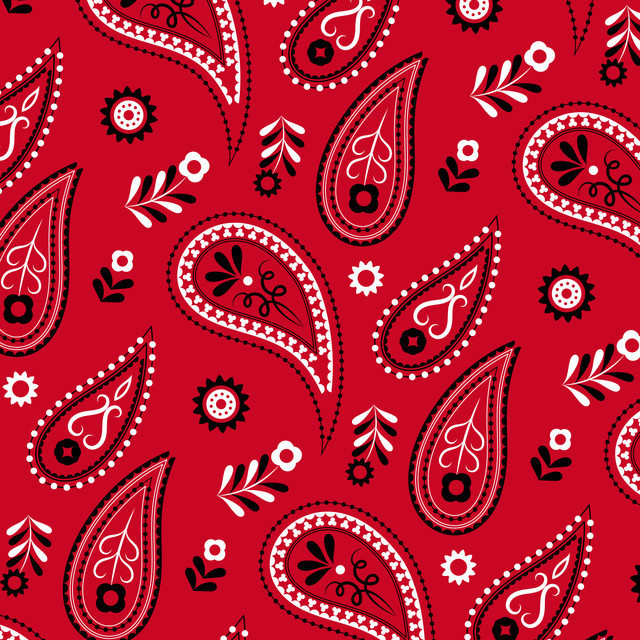 Paisley Pattern Design 02.jpg