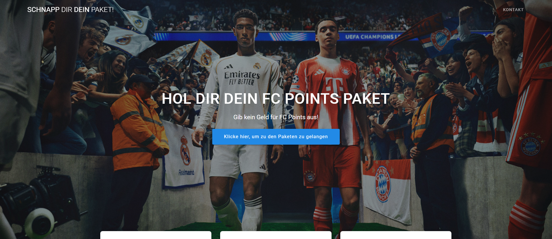 Stored capture of fcpoints.online