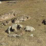 IMG-9850