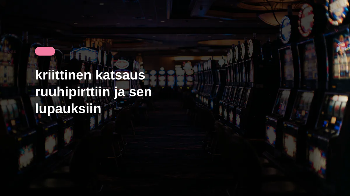 kriittinen katsaus ruuhipirttiin ja sen lupauksiin