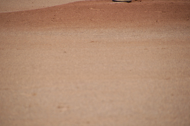 IMG-2395.jpg