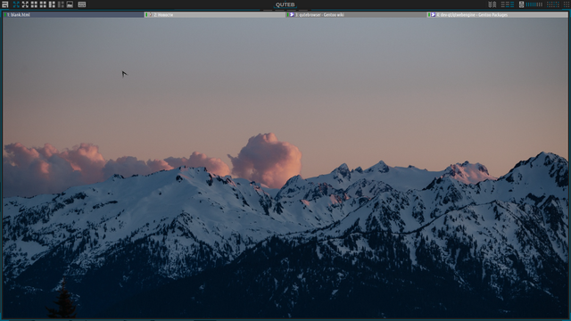 steel qutebrowser2
