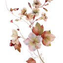 unnamed (1)