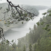 IMG 4886