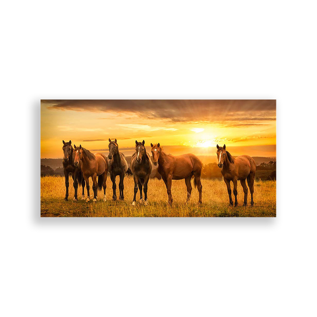 703487-Cavalos-Ana