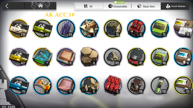 bag1.png