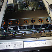 IMGP4354