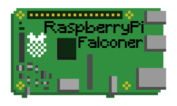 RaspberryPi Falconer logo