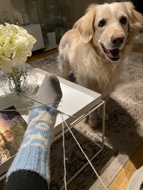 152284-DF-04-C2-4559-A6-E9-208-DAF42-D65