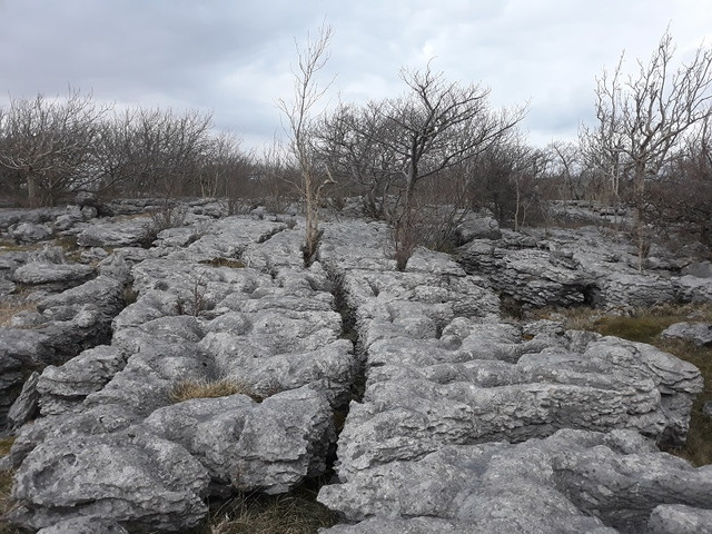 044a-Limestone-Pavement
