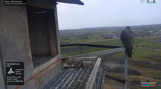 23-03-BALKON